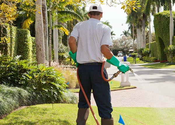 About Swiss WV Pest Control
